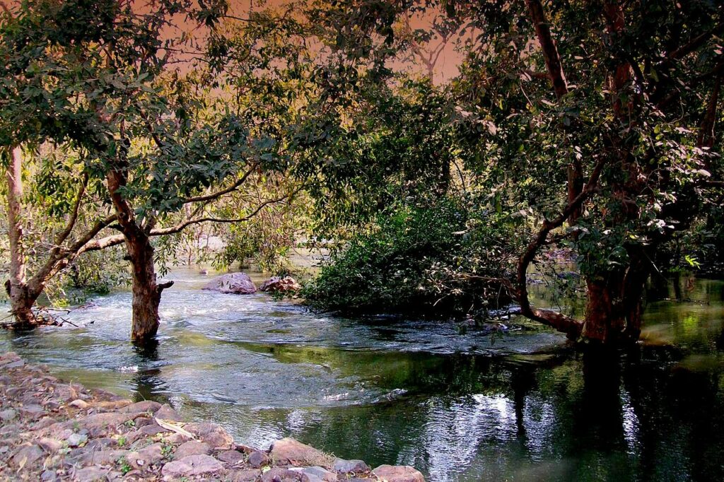 sitamata wildlife sanctuary